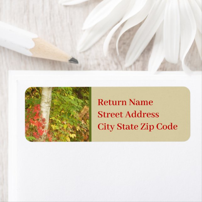 Birch Tree Trunk (Insitu)