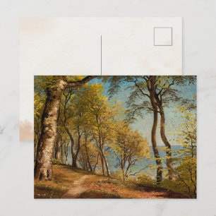 Birch trees at a coast   Vintage Landscape Postcard