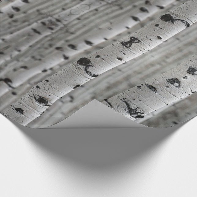 Birch trees, black & white wrapping paper (Corner)