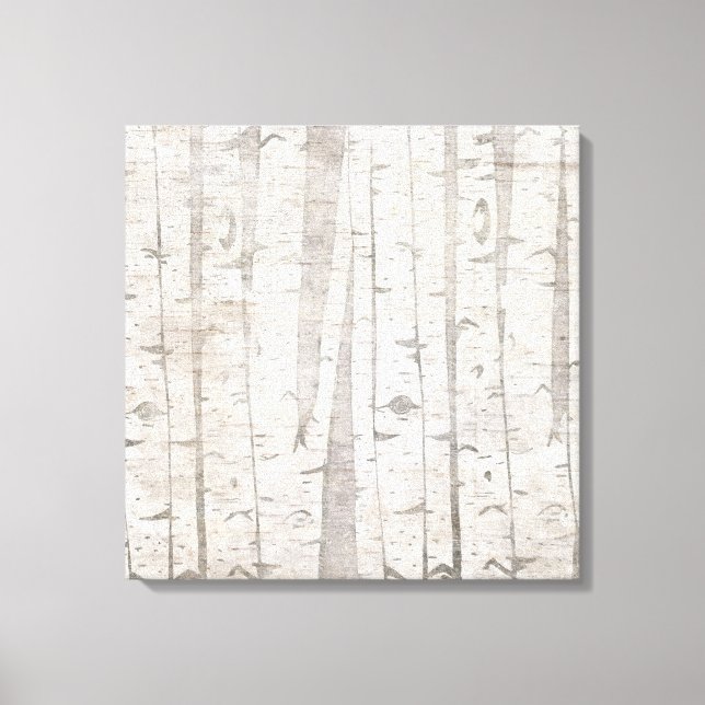 Birch Trees Canvas Print (Front)