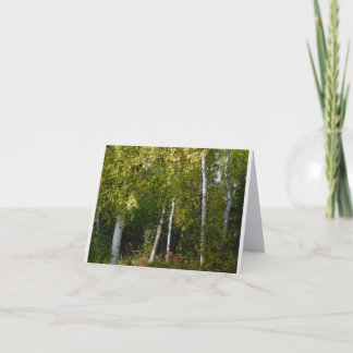 Birch Trees Folded Note Card