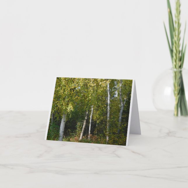 Birch Trees Folded Note Card (Front)