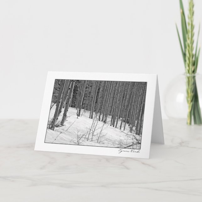 Birch Trees in Snow-Black & White Card (Front)