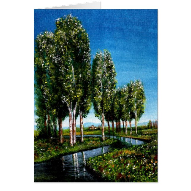 BIRCH TREES IN TUSCANY (Front)