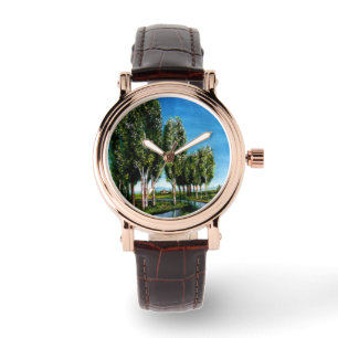 BIRCH TREES IN TUSCANY LANDSCAPE WATCH