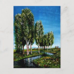 BIRCH TREES IN TUSCANY POSTCARD