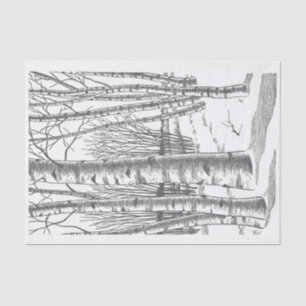 Birch Trees In Winter Tissue Paper