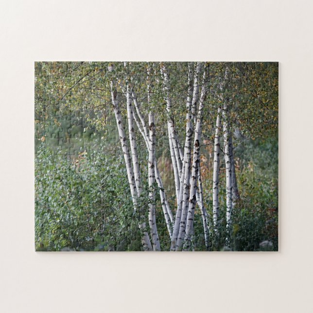 Birch trees jigsaw puzzle (Horizontal)