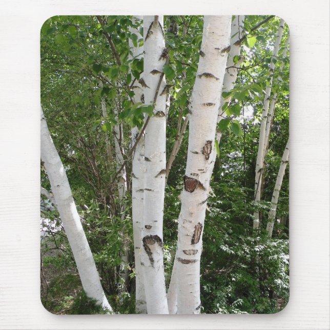 Birch Trees Mousepad (Front)