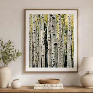 Birch Trees Rustic Cabin Poster