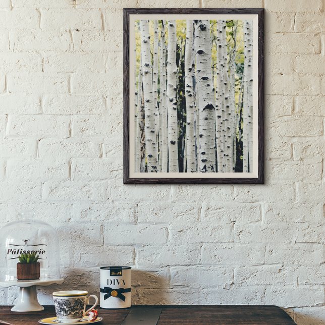 Birch Trees Rustic Cabin Poster (Creator Uploaded)