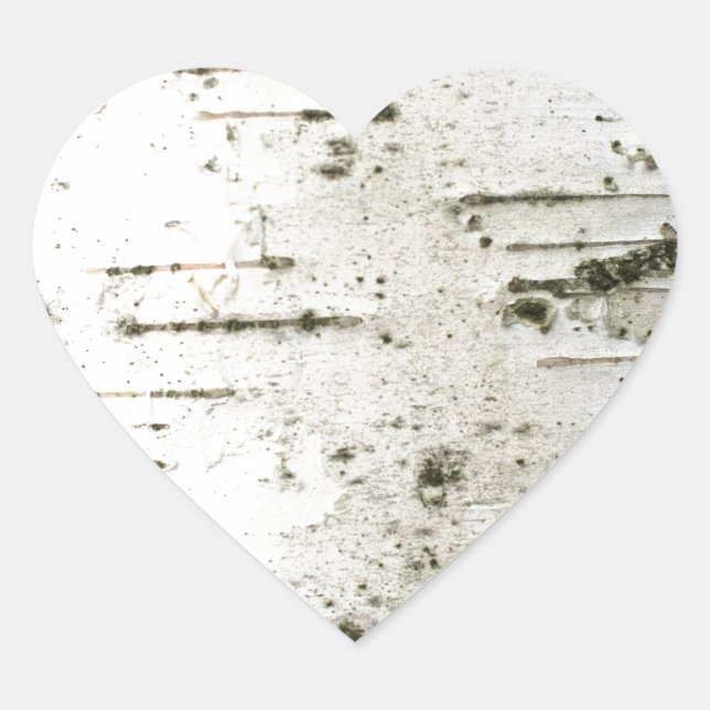 Birch trunk heart sticker (Front)