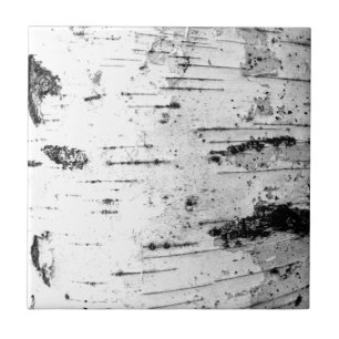 Birch trunk tile