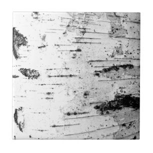 Birch trunk tile