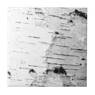 Birch trunk tile