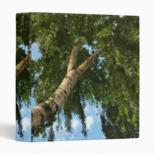 birch umbrella binder