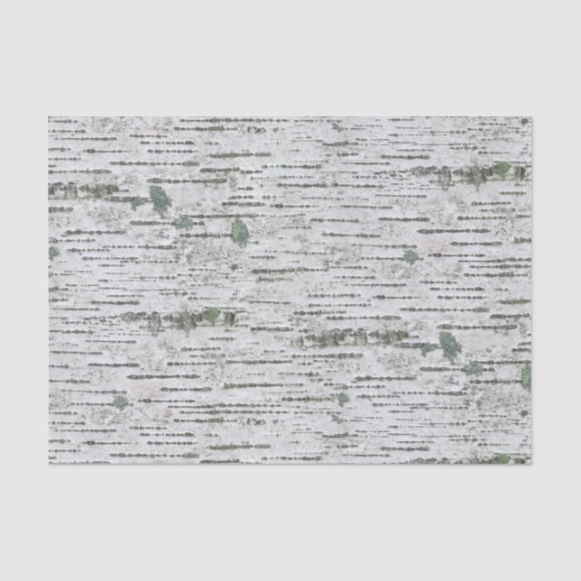 Birch Wood Texture Tissue Paper (Front)