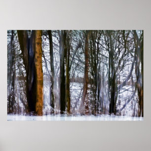birch woods poster