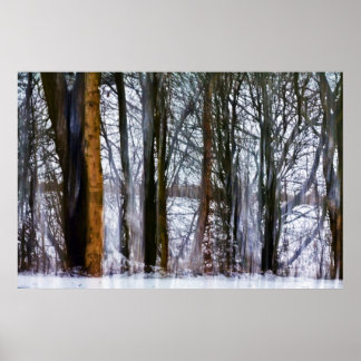 birch woods poster