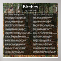Birches by Robert Frost Complete Poem/Birkenwald