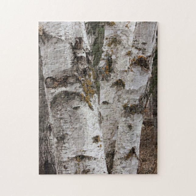 Birches Jigsaw Puzzle (Vertical)