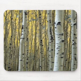 Birches Mouse pad