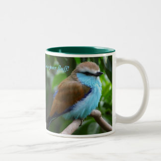 bird-2, Love your fluff! Two-Tone Coffee Mug
