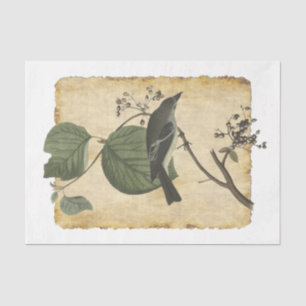 Bird 33 Decoupage Tissue Paper