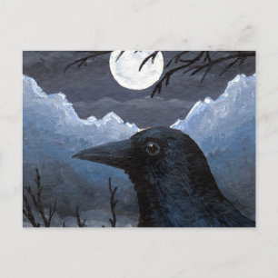 Bird 58 Crow Raven Postcard