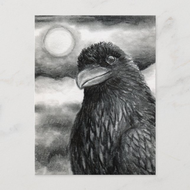 Bird 64 Crow Raven Postcard (Front)