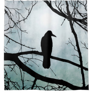 bird 77 Crow Raven