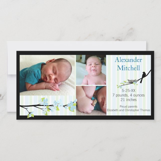 Bird and Blossoms in Blues Birth Announcement (Front)