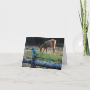 Bird and deer get along despite their differences. card