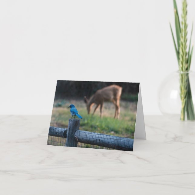 Bird and deer get along despite their differences. card (Front)