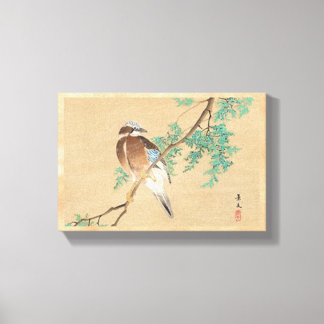 Bird and Flower, Eurasian Jay and Chinese Arborvit Canvas Print (Front)