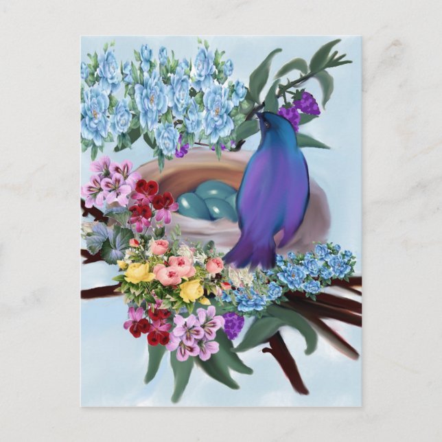 bird and nest postcard (Front)