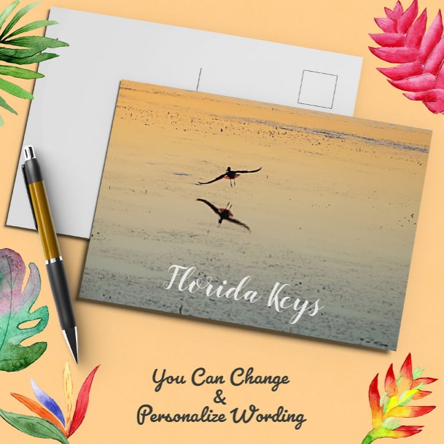 Bird and Reflection Flying Sunset Key West Florida Postcard (Creator Uploaded)