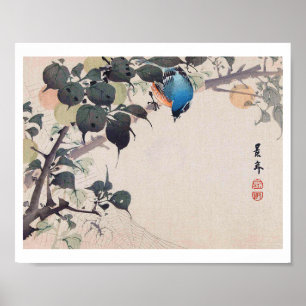 Bird and Spider, Imao Keinen Poster