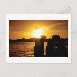 Bird and sunset postcard