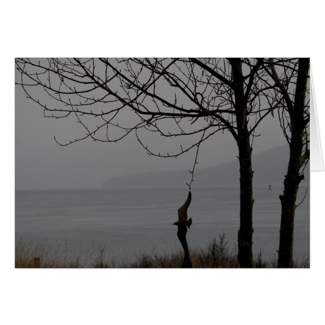 Bird Art and Tree (Front Horizontal)