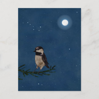 Bird Art, at Night with Moon, Big Dipper, Stars Postcard