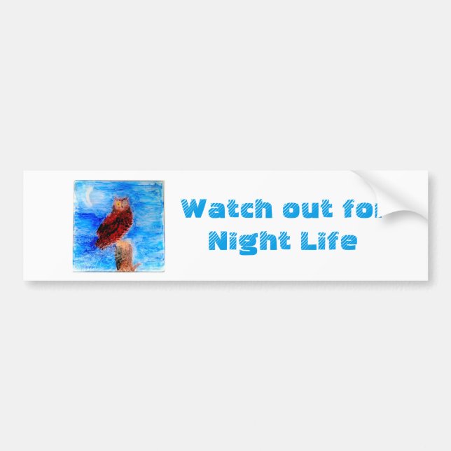 Bird Art Owl Night Driving Message Bumper Sticker (Front)