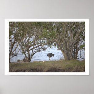 Bird at the Refuge Poster