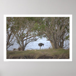 Bird at the Refuge Poster