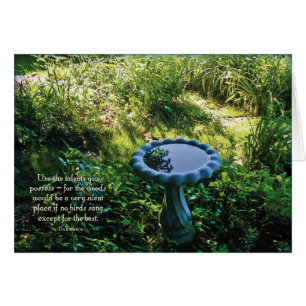 Bird bath