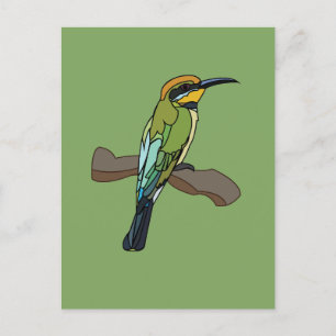 Bird Bee-Eater Bird Postcard