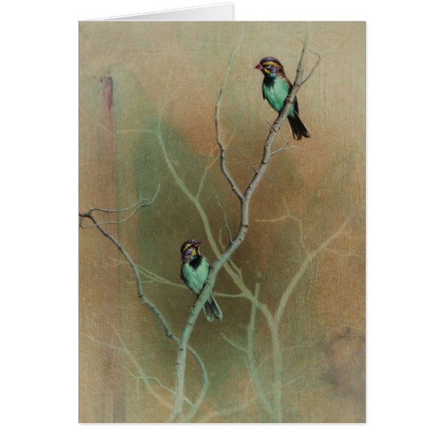 Bird Blank Card by Andrew Denman (Front)