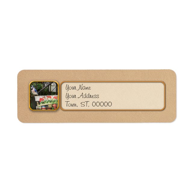 Bird - Blue Jay - Waiting for the mail (Front)