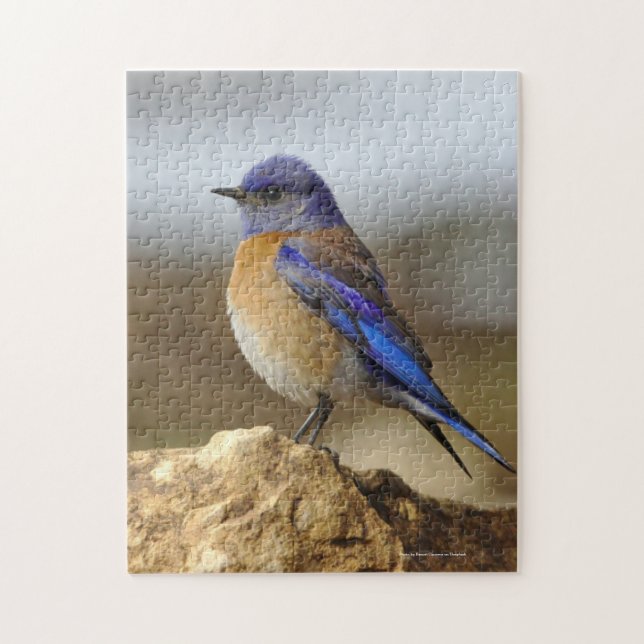 Bird, Bluebird, Jigsaw Puzzle (Vertical)