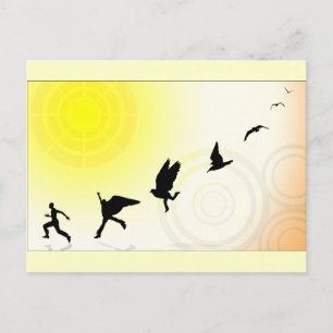 Bird Brain Postcard